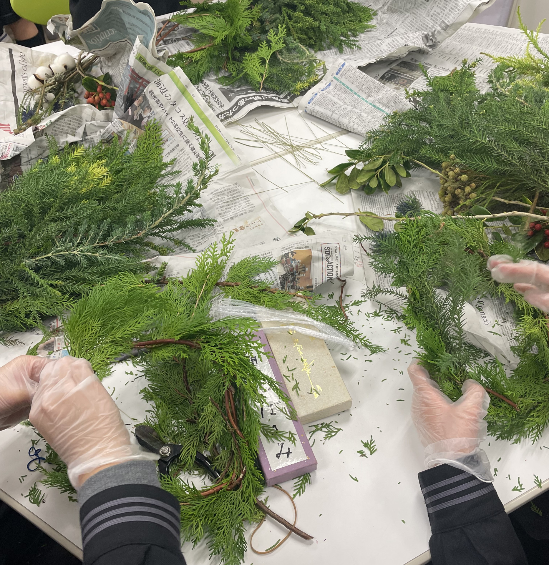 画像 -20251217-080004-ddcd489d